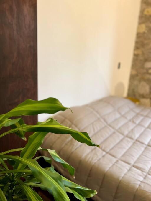 Casa Santiago - Zona Exclusiva Apartamento Guanajuato